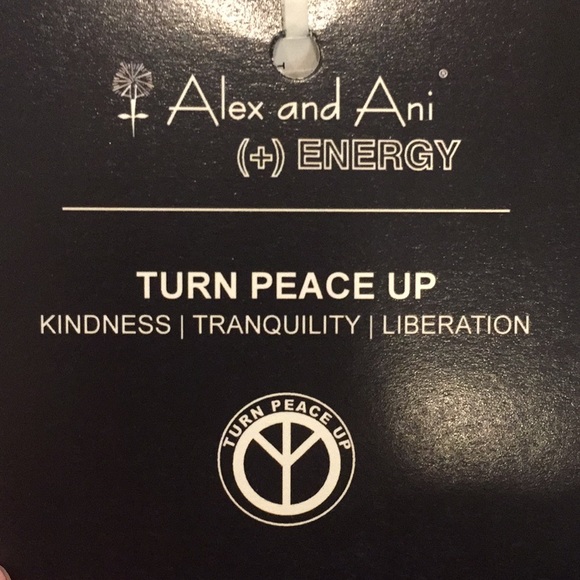 NWT Alex and Ani (+) ENERGY bracelet!! - Picture 4 of 4